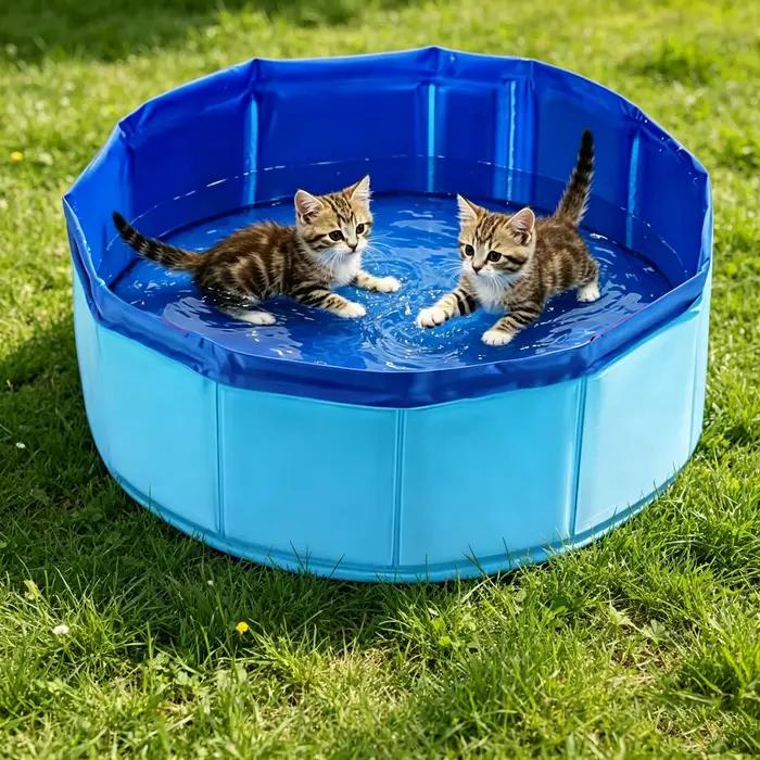 Piscine pour animaux de compagnie