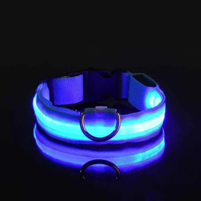 Collier pour chien en Nylon LED sécurité nocturne clignotant lueur dans la nuit laisse