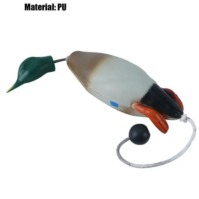 Leurre de simulation de canard colvert pour l'entraînement des chiens