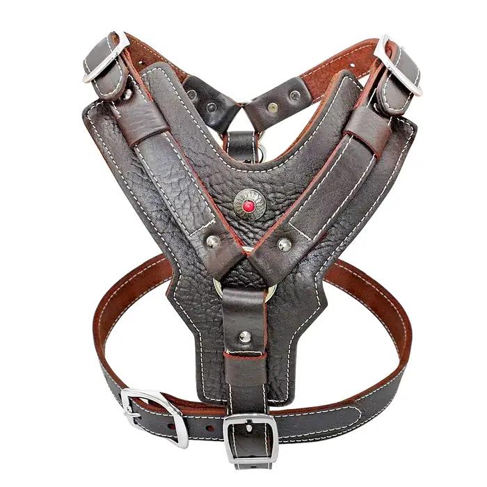 Harnais en cuir véritable Didog pour chiens de grande taille harnais de base avec poignée de contrôle rapide pour labrador pitbull toutes saisons confort sécurité et style