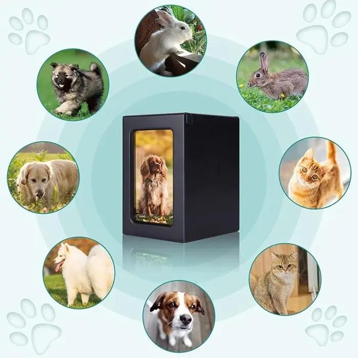 Urnes pour cendres chien