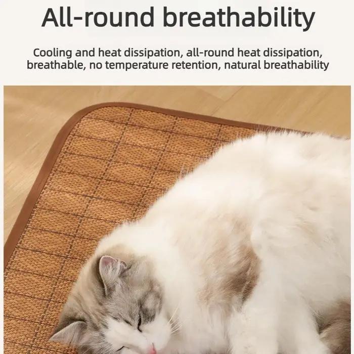 Tapis rafraîchissant pour chien