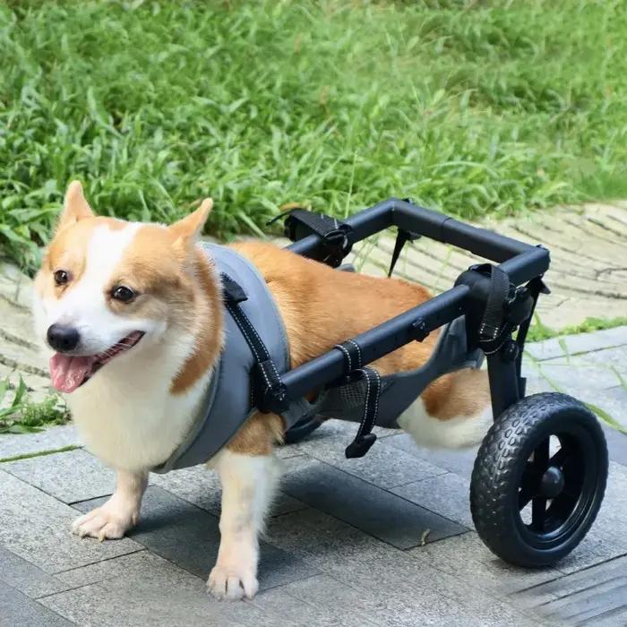 Chariot de rééducation XMSJ pour grands chiens aide à la mobilité et réadaptation assistance quotidienne pour chiens grandes races