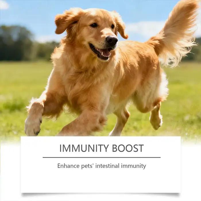 Granulés probiotiques doux pour chiens