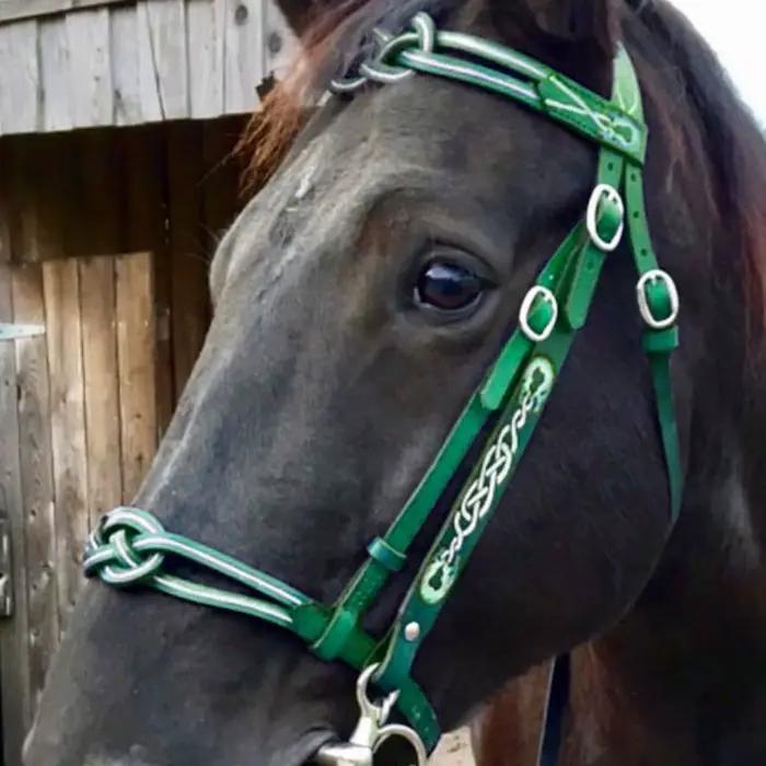 Bridon et Licol en Cuir PU avec Boucle Métallique pour Protéger la Peau du Cheval
