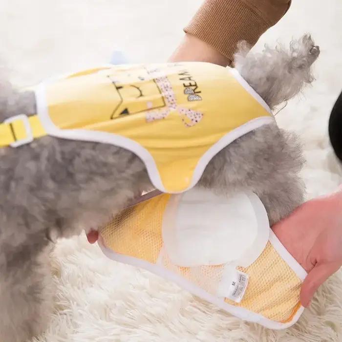 30 pièces couche-culotte pour chien pour femme