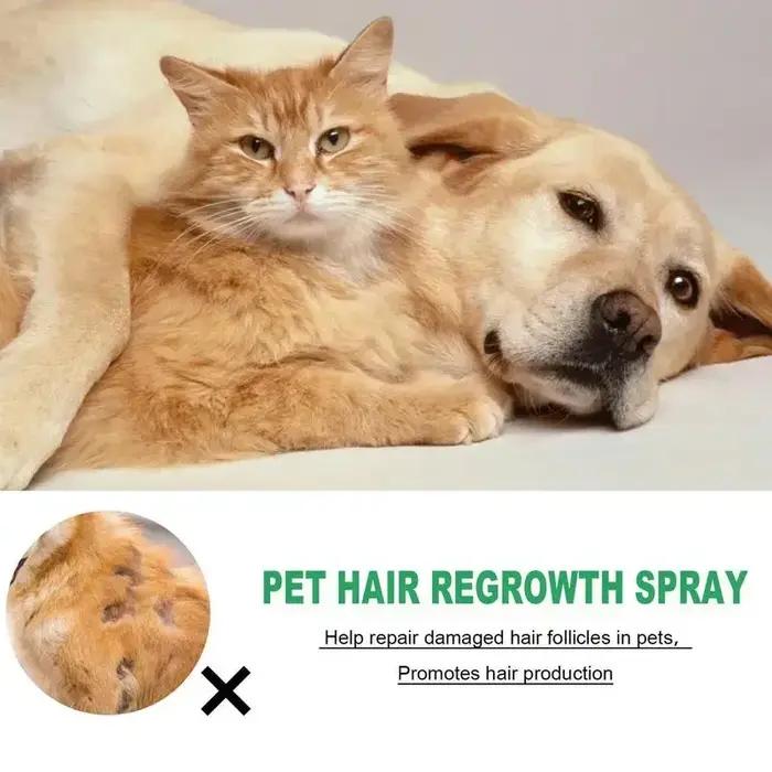 Spray réconfortant et apaisant pour la repousse des poils d'animaux