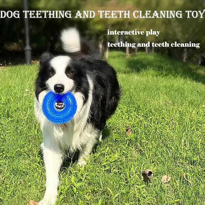 Jouet à mâcher épineux durable pour chien caoutchouc TPR non toxique nettoyage des dents meulage et interaction sonore pour chiots et chiens occasions spéciales