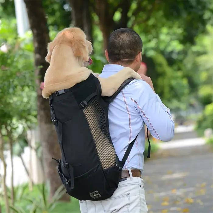 Sac à dos de transport pour chiens en polyester respirant, sac de randonnée pour promenade, sac de vélo pour animaux de compagnie, sac de voyage pour chiens de petite et moyenne taille, sac de plein air pour chiens et chats