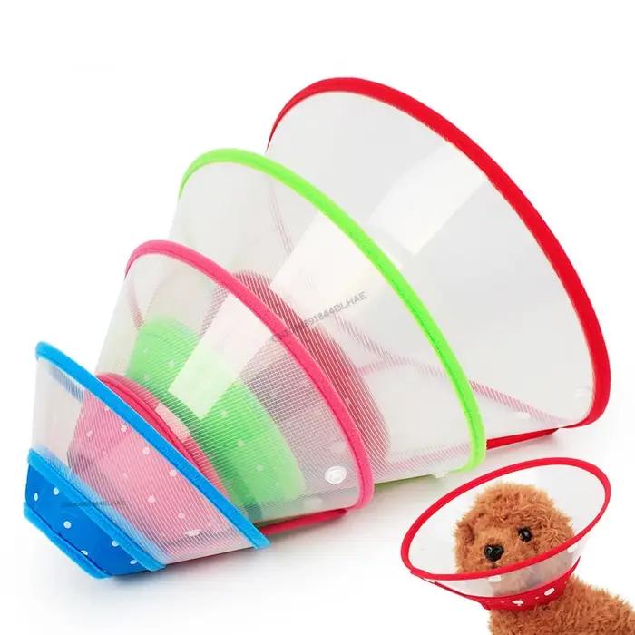Chirurgie Anti-morsure pour animaux de compagnie