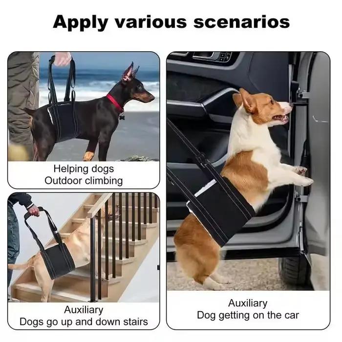 Écharpe réglable pour chien