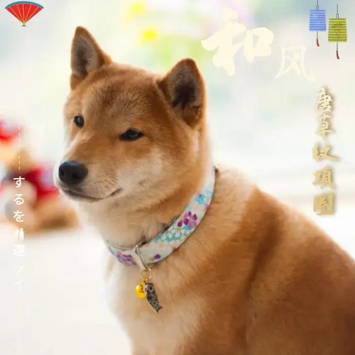 Colliers pour animaux de compagnie avec motif bronzé de style japonais pour chats et chiens de petite et moyenne taille élégants à offrir pour occasions spéciales