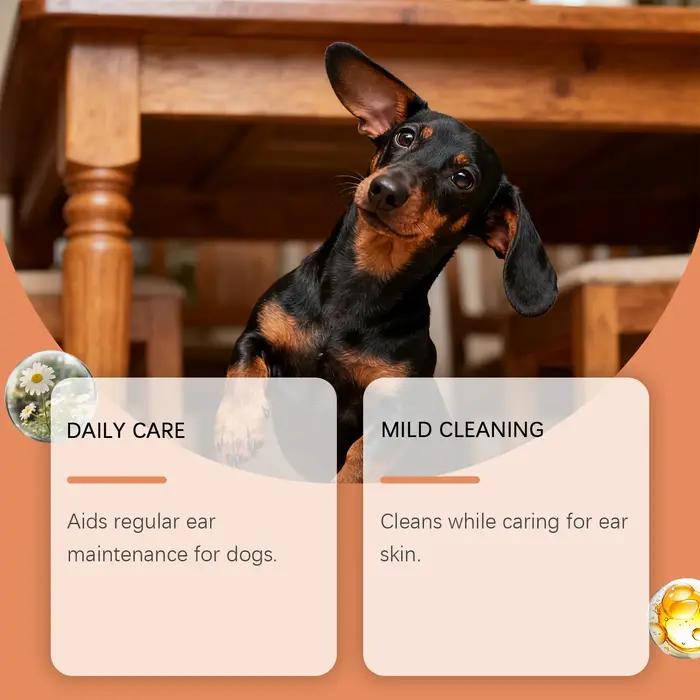Gouttes auriculaires pour chien : Solution longue durée pour réduire le cérumen