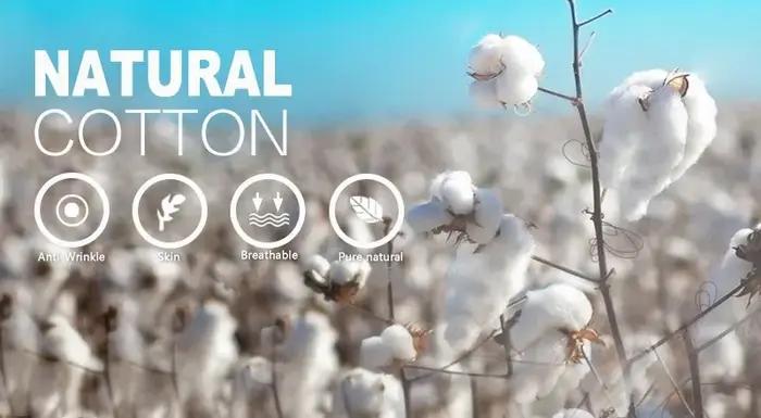 T-shirt vintage West Highland Terrier, chien Westie