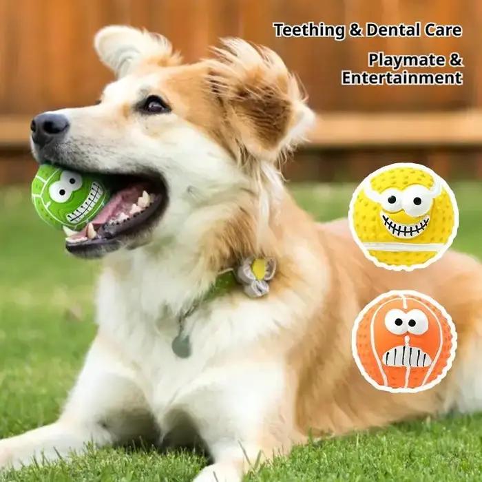 Balle de jeu amusante pour chien