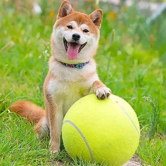 Balle de Tennis Géante en Caoutchouc pour Chien Grand Jouet Interactif Occasions Spéciales Jeux Sportifs Intérieurs Extérieurs Cadeau Anniversaire Noël