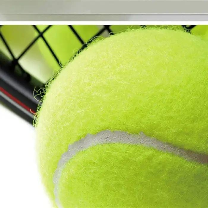 Balle de tennis extérieure en caoutchouc à fibres élastiques pour l'entraînement de la souplesse canin