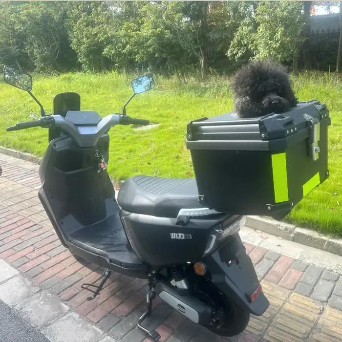 36/45/57/70L coffre de moto 57L boîte pour animaux de compagnie 45L Portable extérieur chat et chien boîte respirante étanche boîtier supérieur de rangement universel