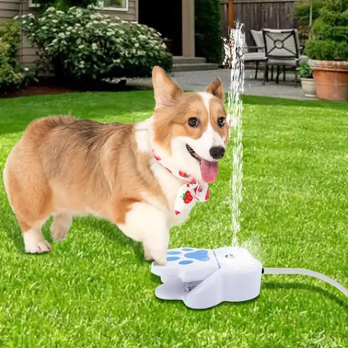 Fontaine à eau pour animaux de compagnie à activation par patte