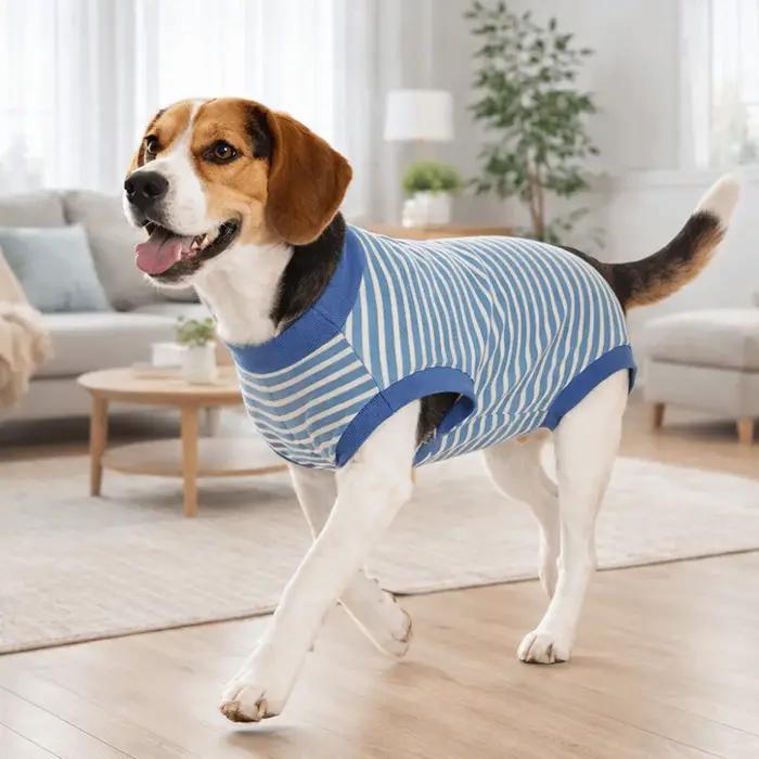 Combinaison pour chien
