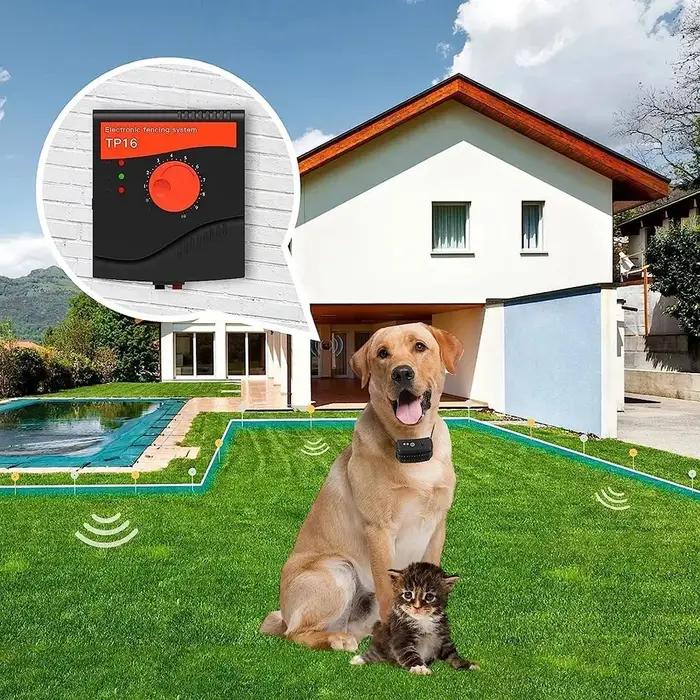 Clôture électrique pour chien filaire au sol