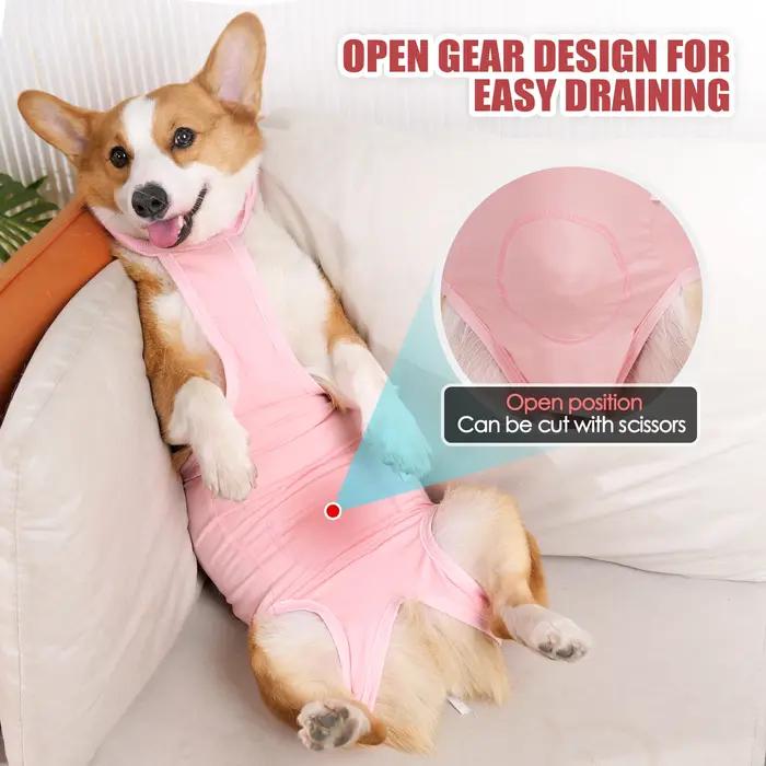 Combinaison de récupération chirurgicale pour animaux de compagnie