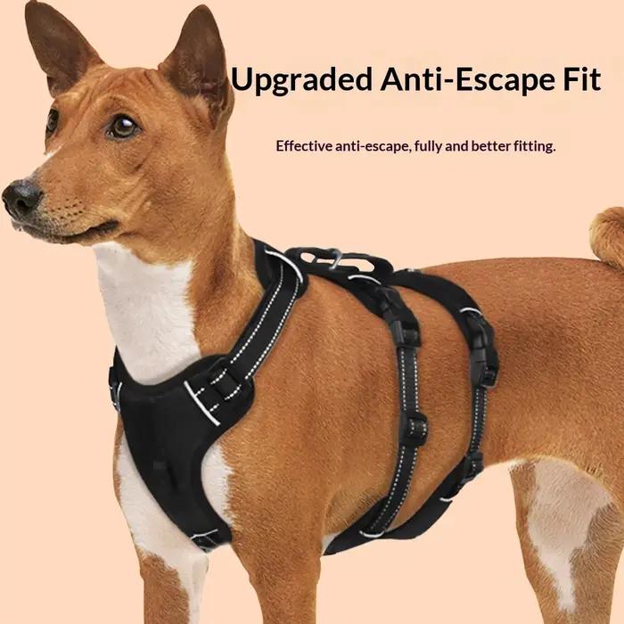 Harnais Anti-Evasion Pour Chien En Tissu Oxford Couleurs Et Tailles Variées Pour Chiens De Toutes Les Tailles Occasions Spéciales
