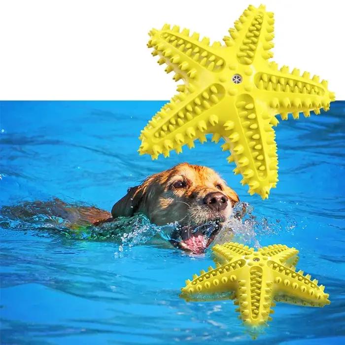 Jouet sonore étoile de mer pour chien