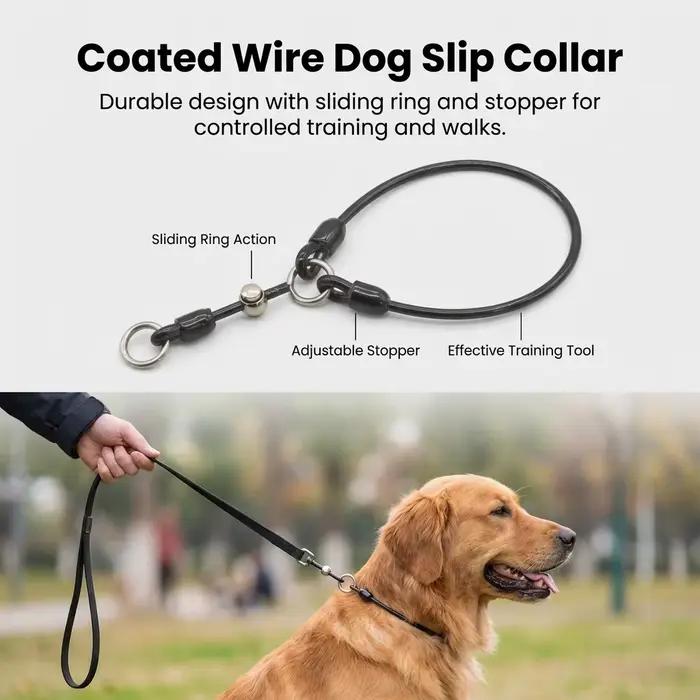 Collier pour chien en fil d'acier recouvert de corde P
