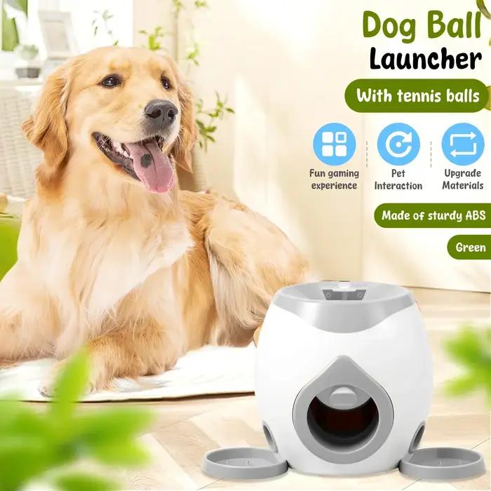 Lanceur de balles de tennis pour chiens