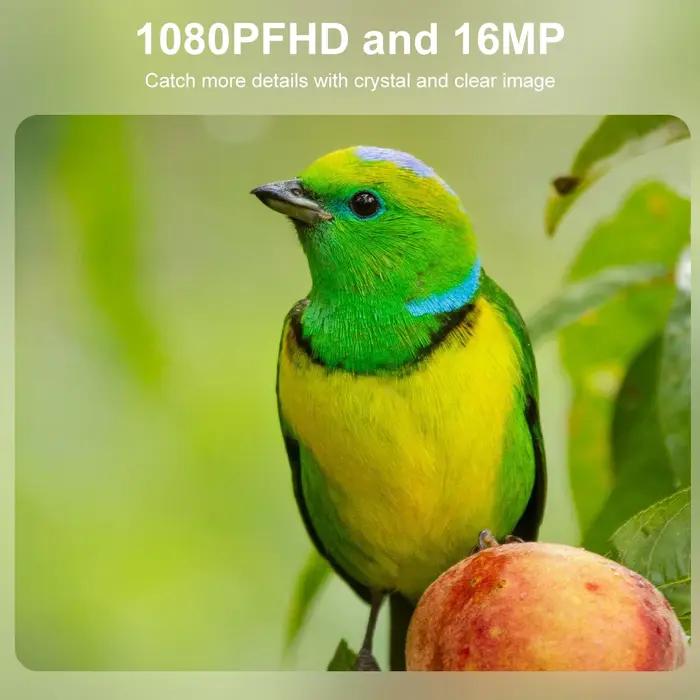 Caméra de chasse Magecam 16MP 1080P