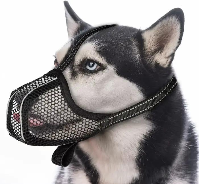 Panier à muselière pour chien, doux, pour petite, moyenne et grande taille, Anti-morsure, léchage à