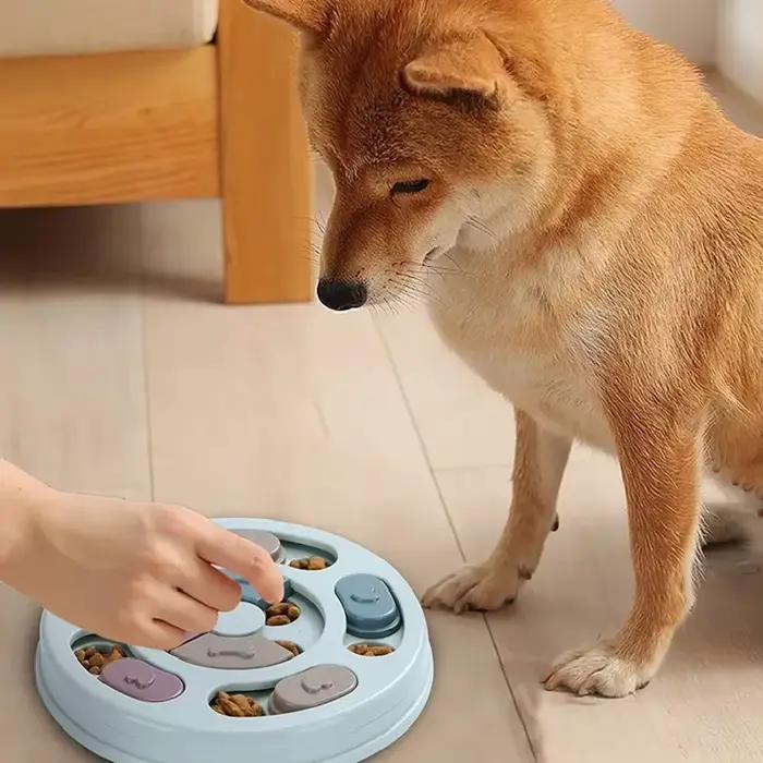 Bol de nourriture pour chien