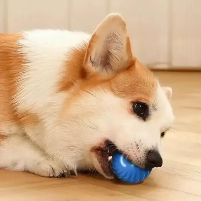Balle roulante rebondisnoyaux à mouvement automatique pour chien