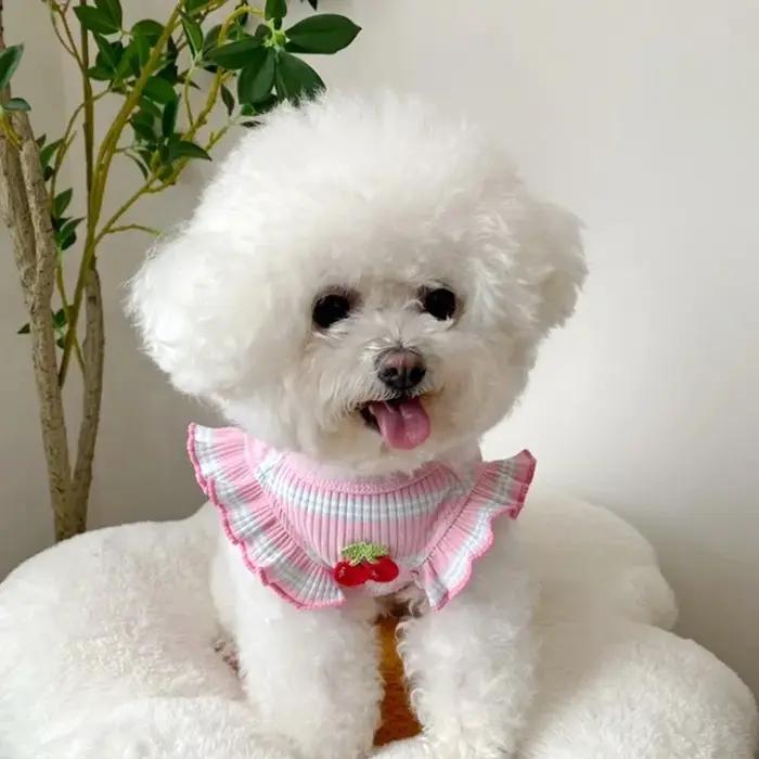 Chemise rayée pour chien