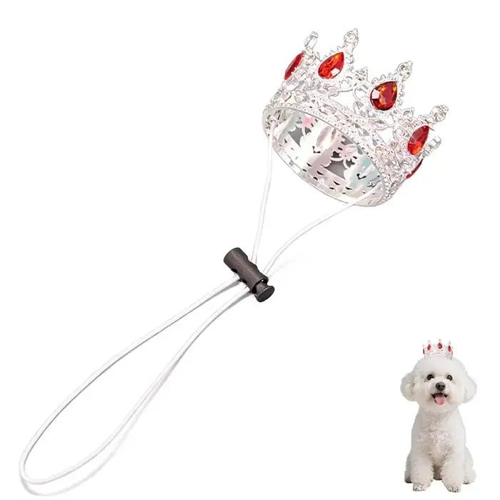 Couronne pour animaux de compagnie