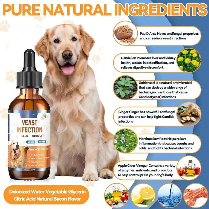 Compléments naturels de levure 60 ml pour chiens : Soulagement des démangeaisons