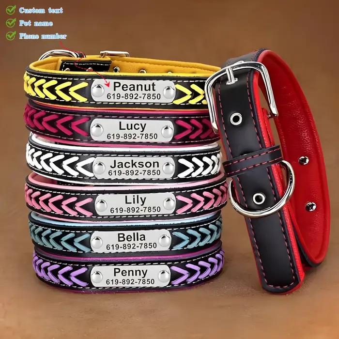 Collier de chien personnalisé avec étiquette gravée