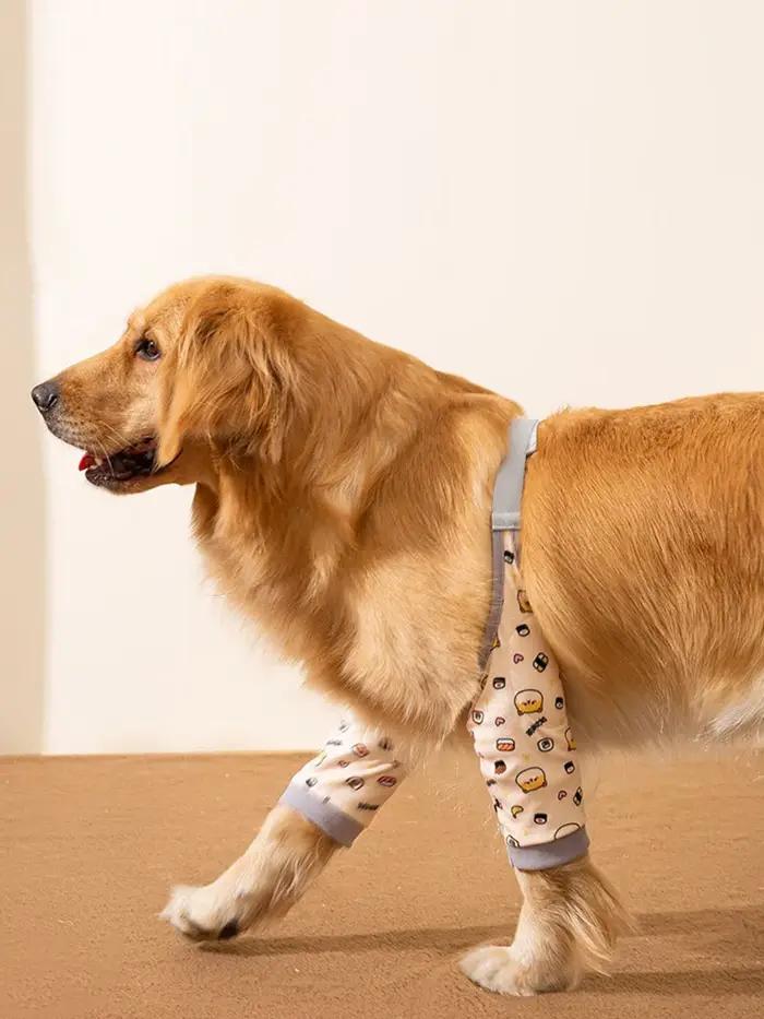 Genouillères pour animaux de compagnie de grande et moyenne taille