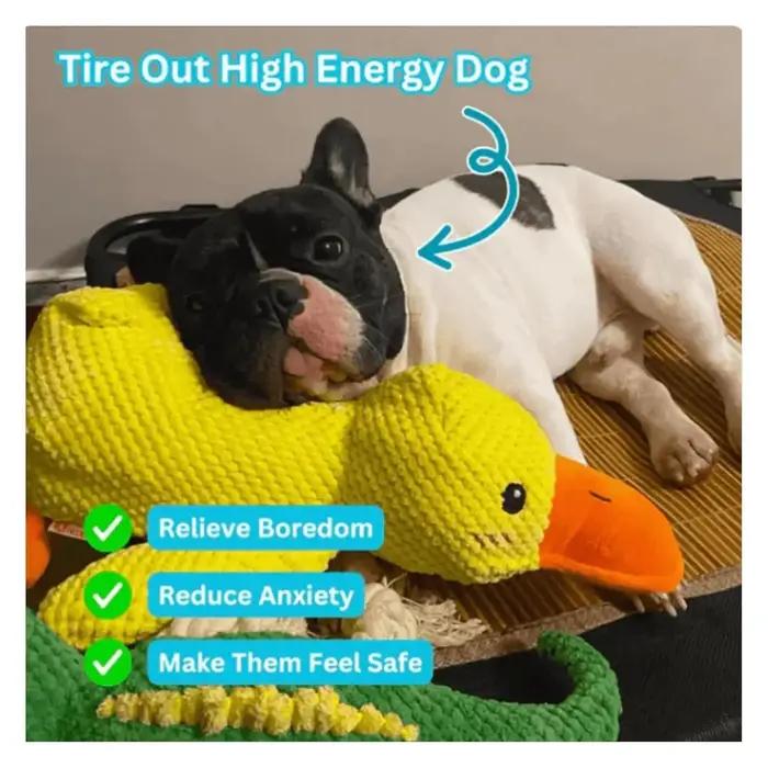 Jouet de canard apaisant pour chiens