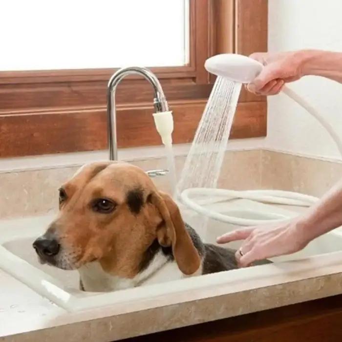 Douche multifonctionnelle pour animaux de compagnie