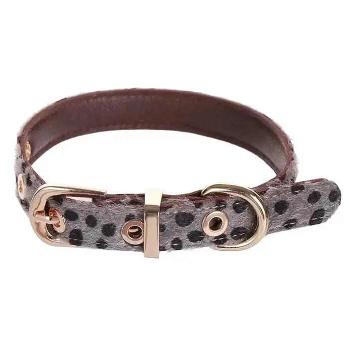 Collier pour petit chien à motif léopard