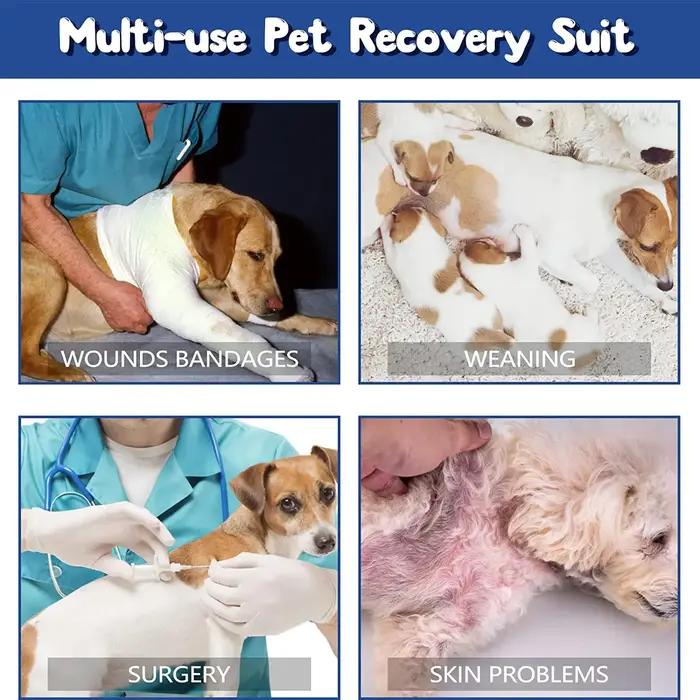 Combinaison de récupération post-opératoire pour chiens