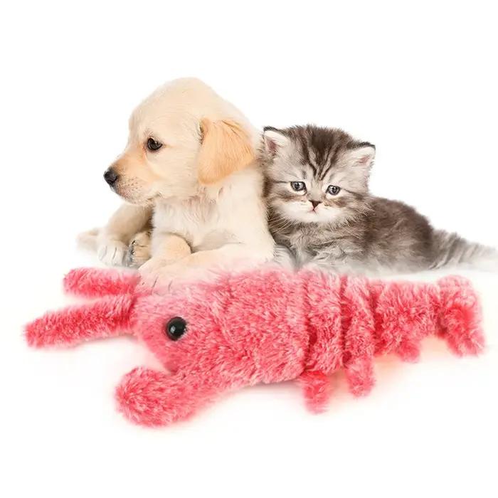 Jouet en Peluche Interactif pour Animal de Compagnie