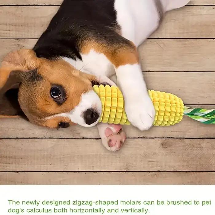 Jouets à mâcher pour chiens pour mâcheurs agressifs