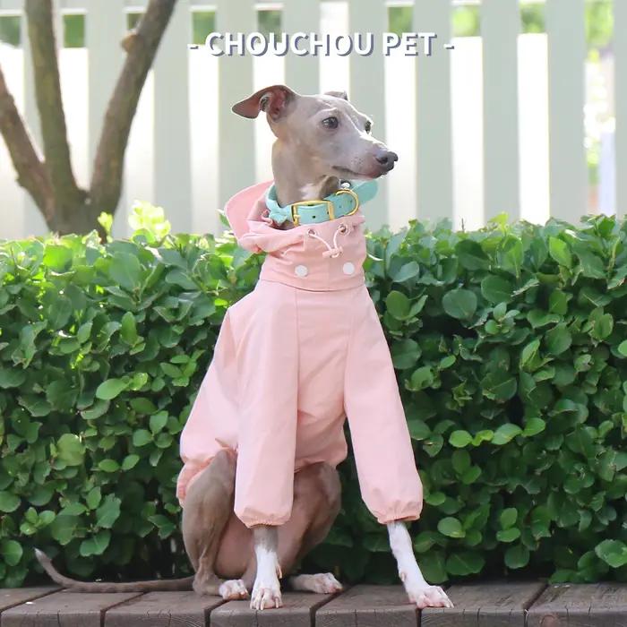Vêtements pour animaux de compagnie Whippet lévrier italien pour l'automne protection solaire extérieure