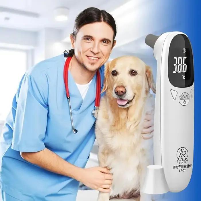 Thermomètres pour animaux de compagnie pour chiens