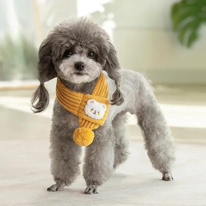 Écharpe tricotée pour chien