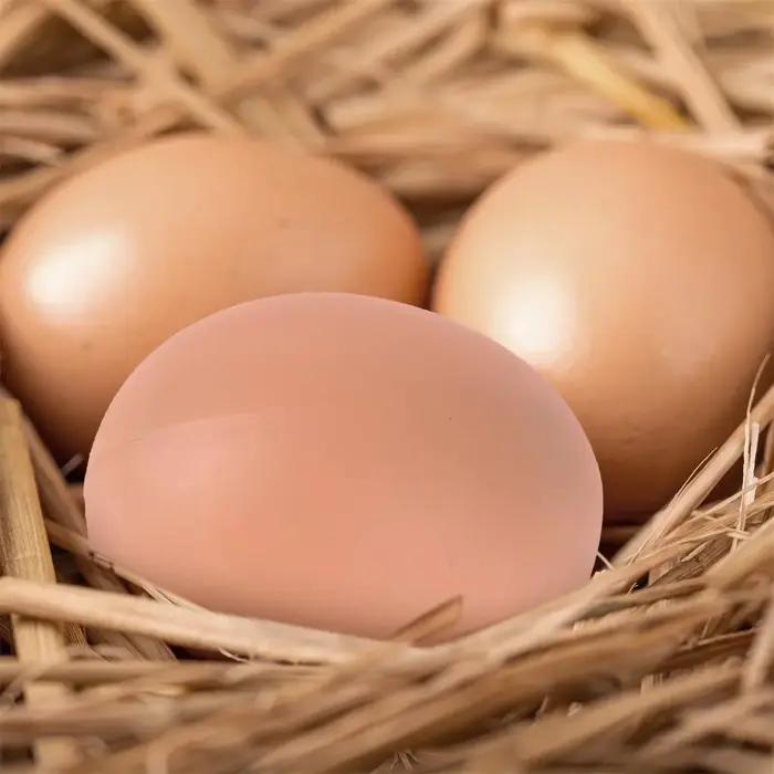 5/10 pièces oeuf à couver poule de pâques volaille trappe élevage Simulation faux oeufs artificiels en plastique