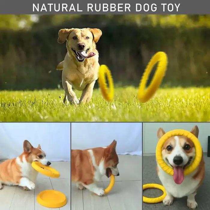 Jouet à mâcher à disque volant Durable pour chien